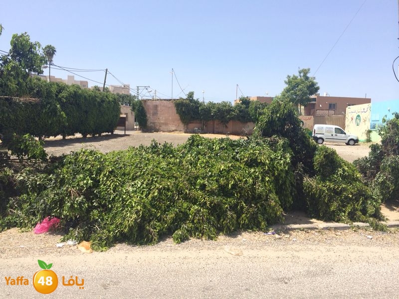 kenan 7ashouna 0503 (11).JPG